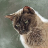 Dusty detailed pastel