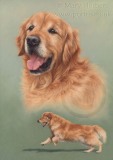 Hector detailed pastel