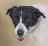 Jack detailed pastel