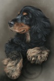 Molly detailed pastel