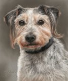 Muttley detailed pastel