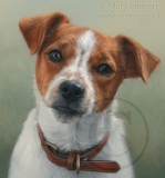 Toby detailed pastel