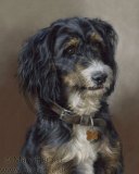 Ronnie detailed pastel