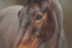 Rory detailed pastel
